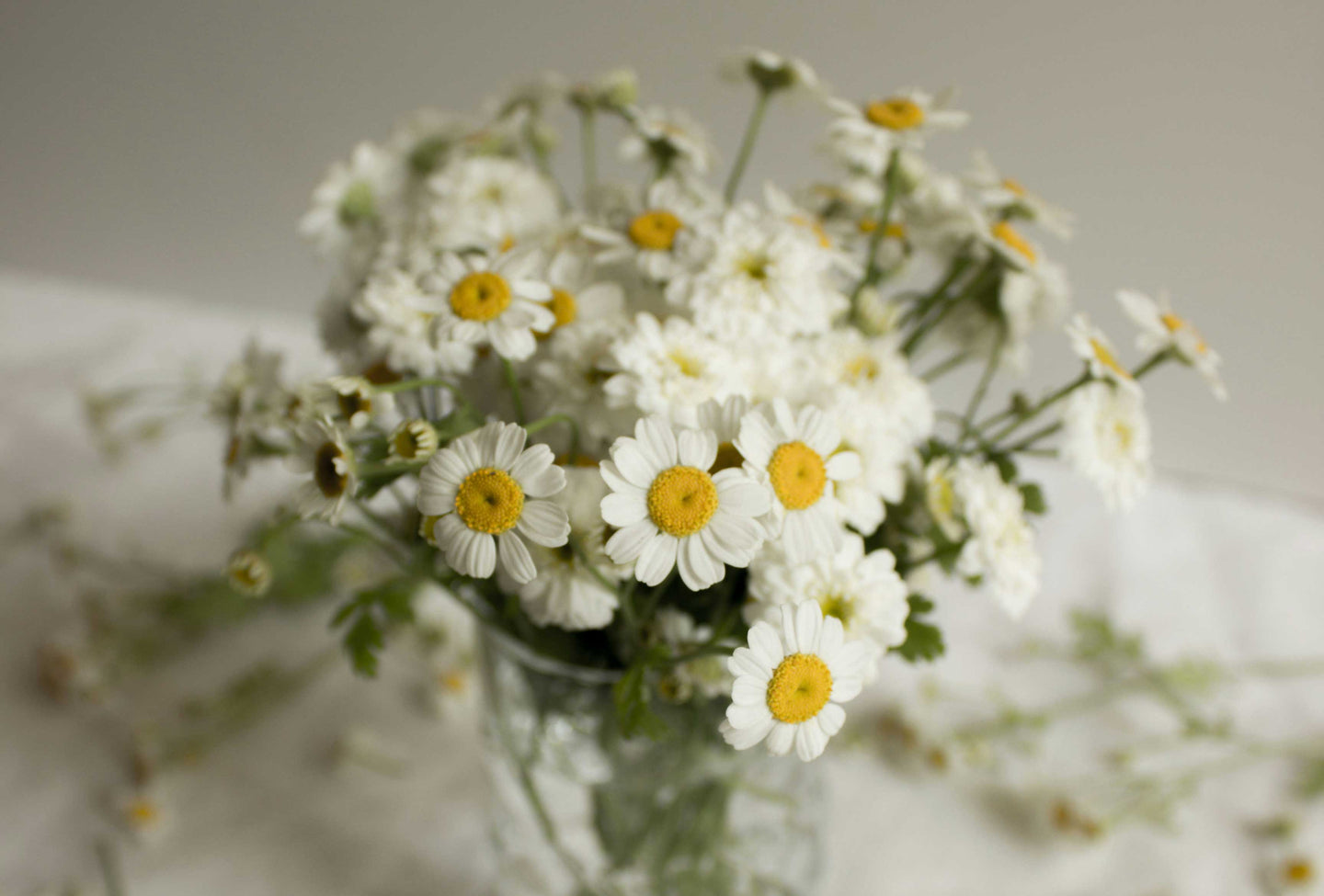 Floral arrangement to represent constipation in pregnancy